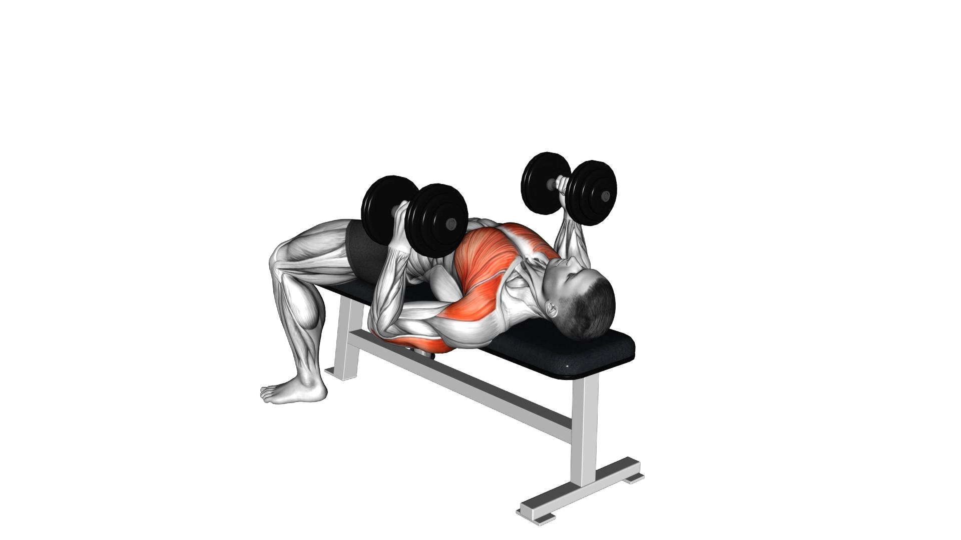 Dumbbell Lying Hammer Press exercise thumbnail