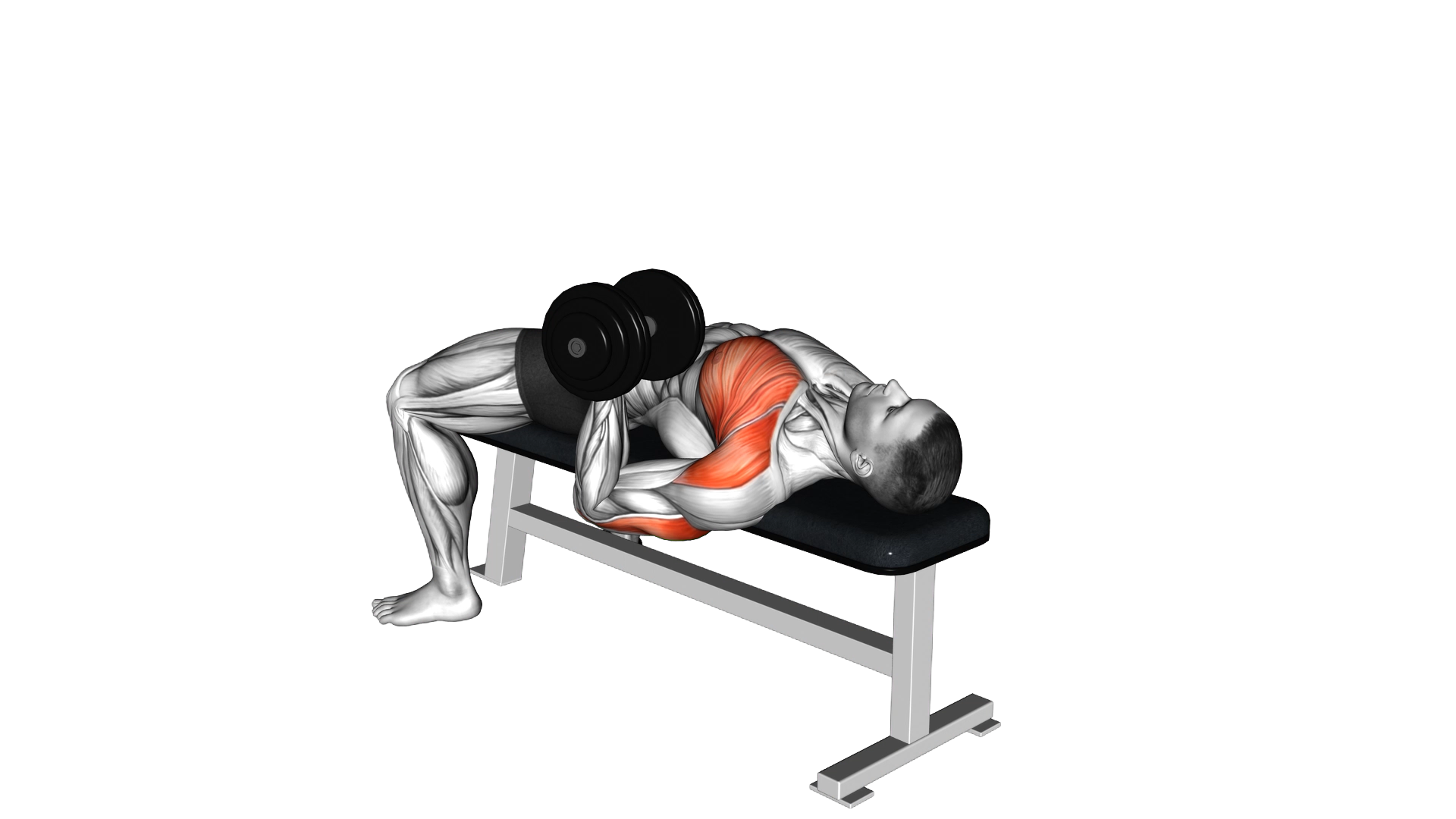 Dumbbell Lying One Arm Press exercise thumbnail