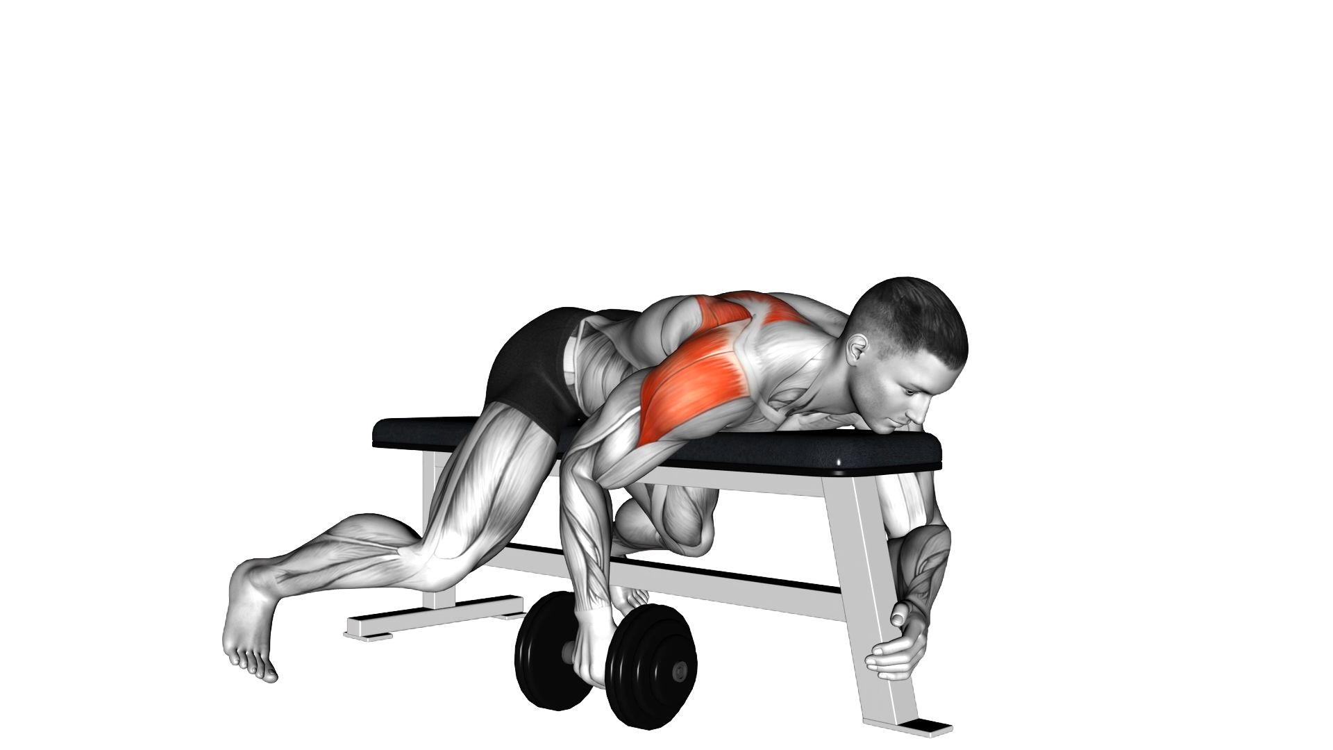 Dumbbell Lying One Arm Rear Lateral Raise exercise thumbnail