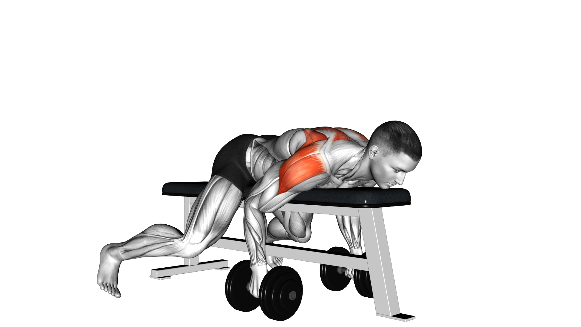 Dumbbell Lying Rear Lateral Raise exercise thumbnail