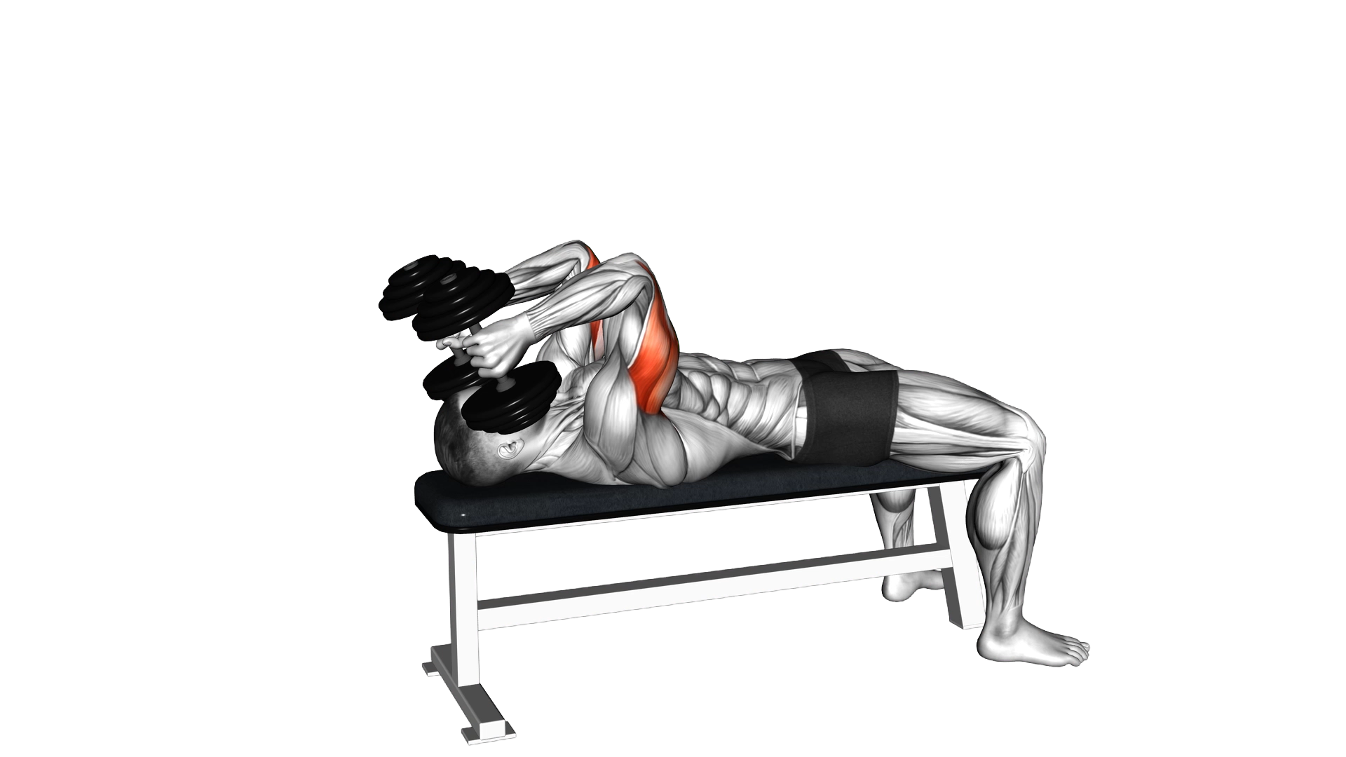 Dumbbell Lying Triceps Extension exercise demonstration