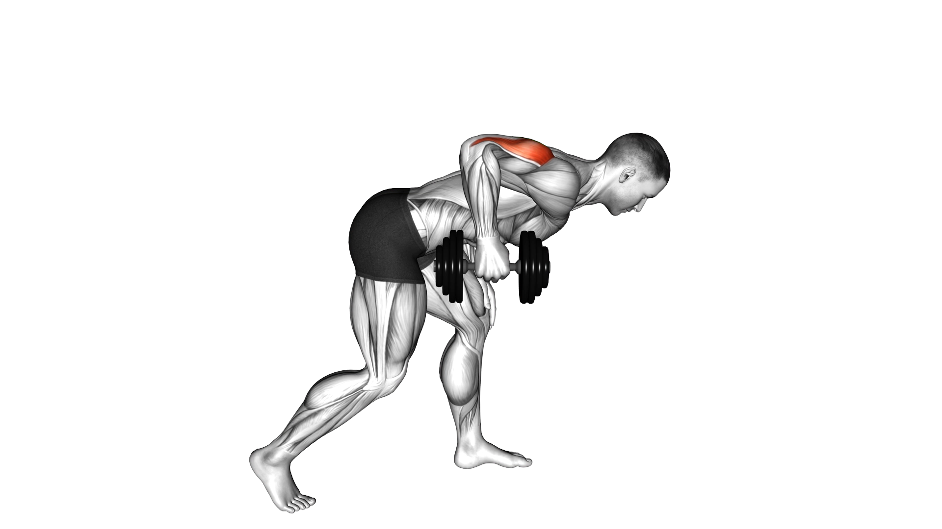 Dumbbell One Arm Kickback exercise thumbnail