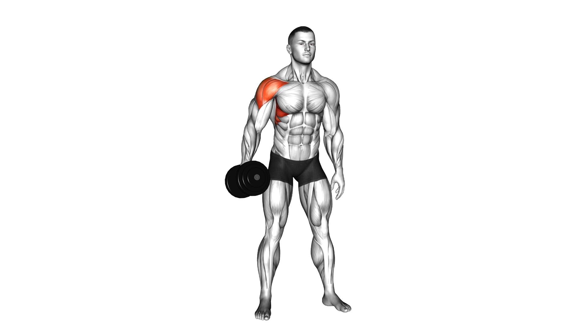 Dumbbell One Arm Lateral Raise exercise thumbnail
