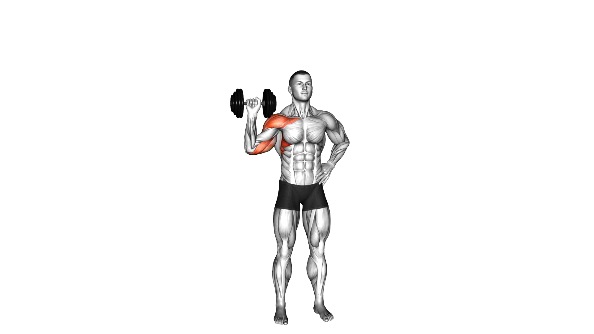 Dumbbell One Arm Shoulder Press exercise demonstration