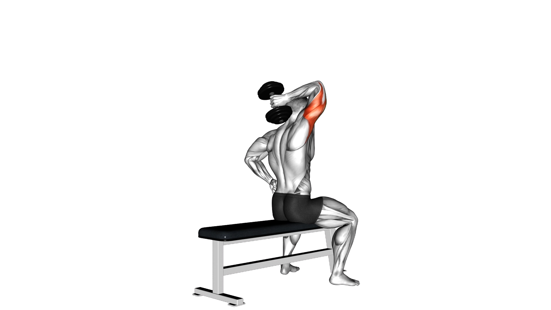 Dumbbell One Arm Triceps Extension (on bench) exercise thumbnail