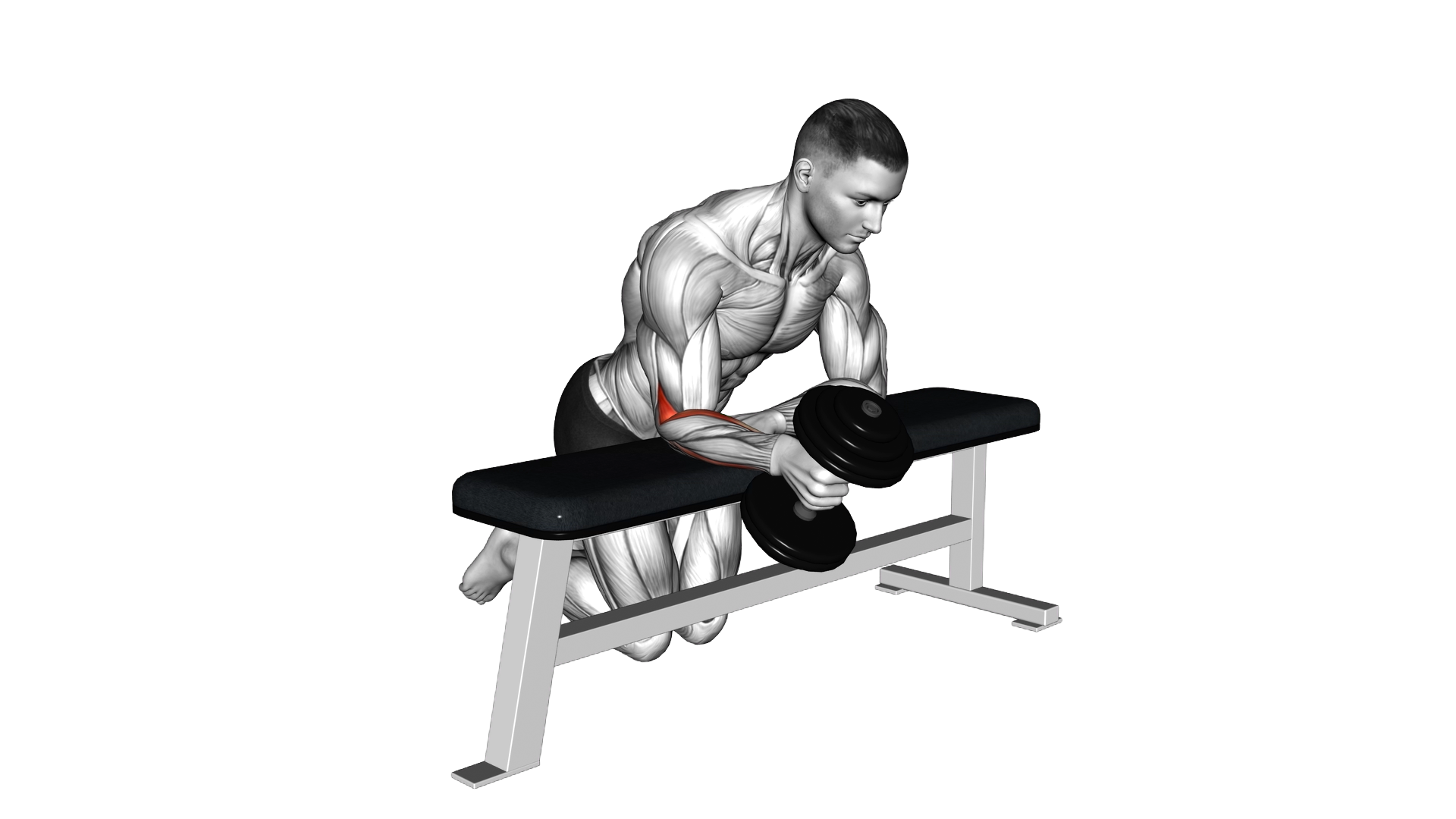 Dumbbell Over Bench One Arm Neutral Wrist Curl exercise thumbnail