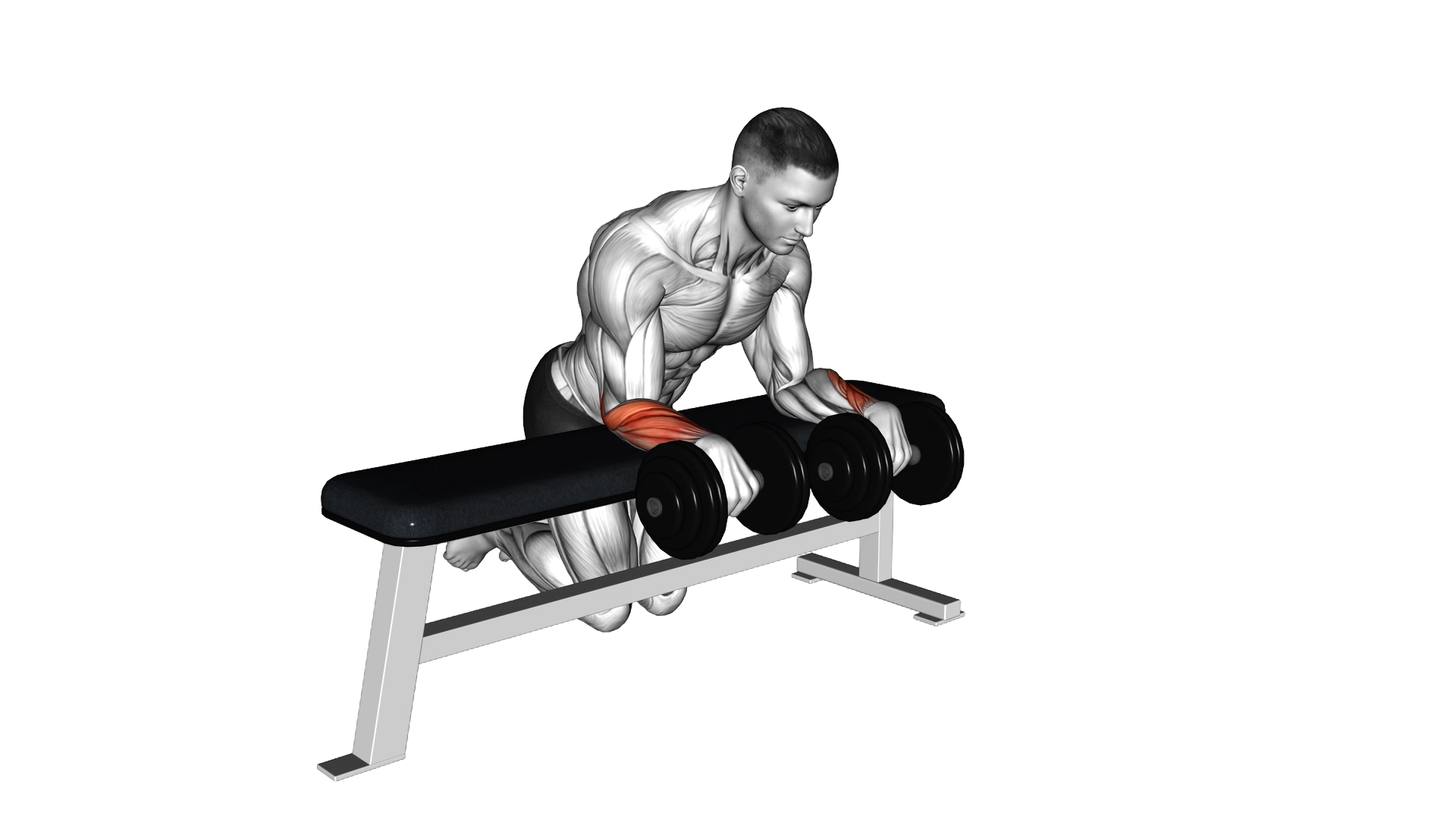 Dumbbell Over Bench Wrist Curl exercise thumbnail