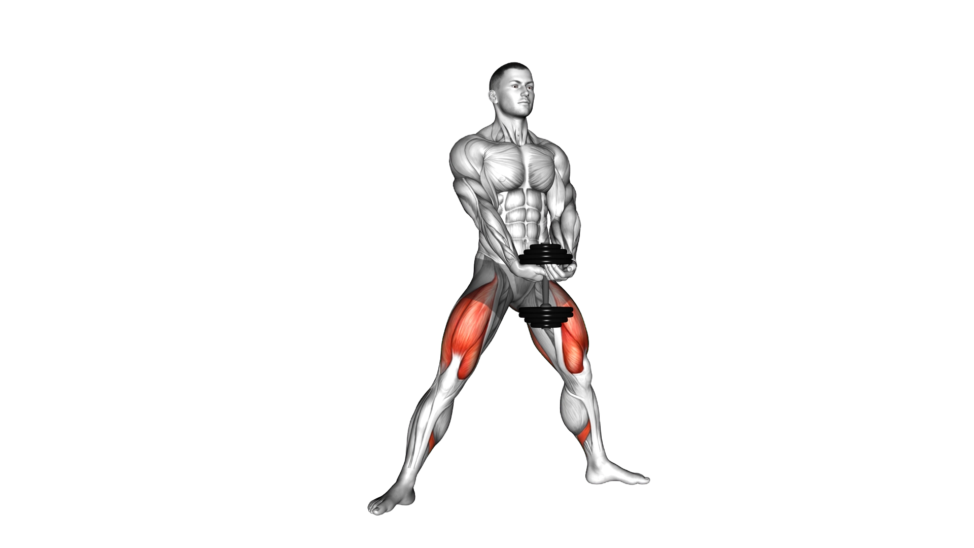 Dumbbell Plyo Squat exercise thumbnail