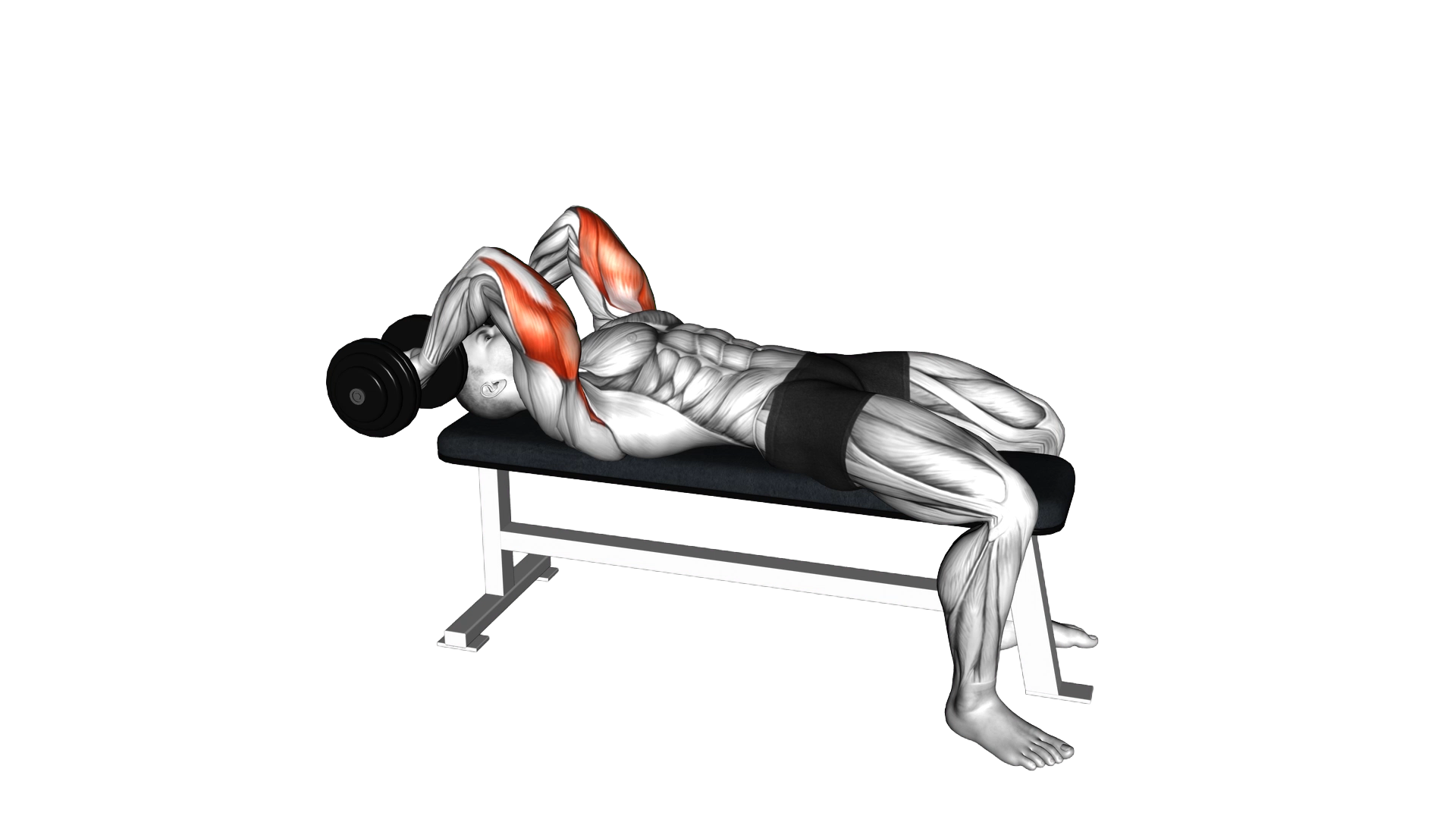 Dumbbell Pronate grip Triceps Extension exercise thumbnail