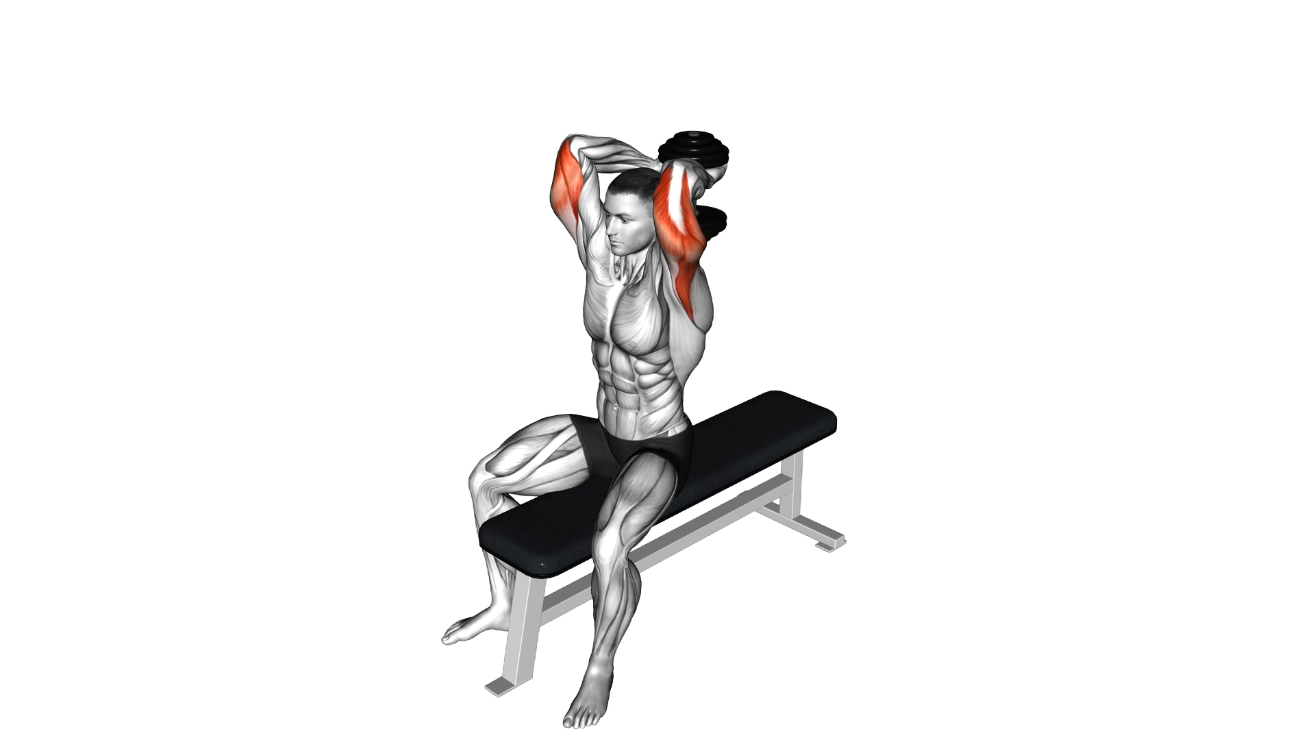 Dumbbell Seated Bench Extension exercise thumbnail