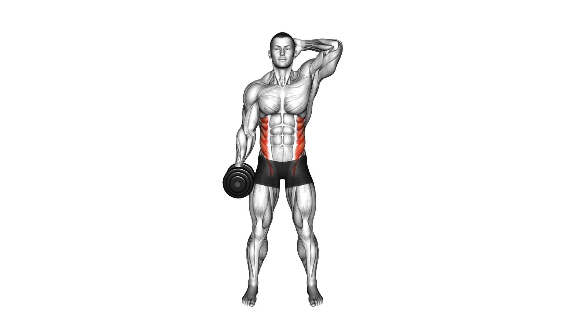 Dumbbell Side Bend exercise thumbnail