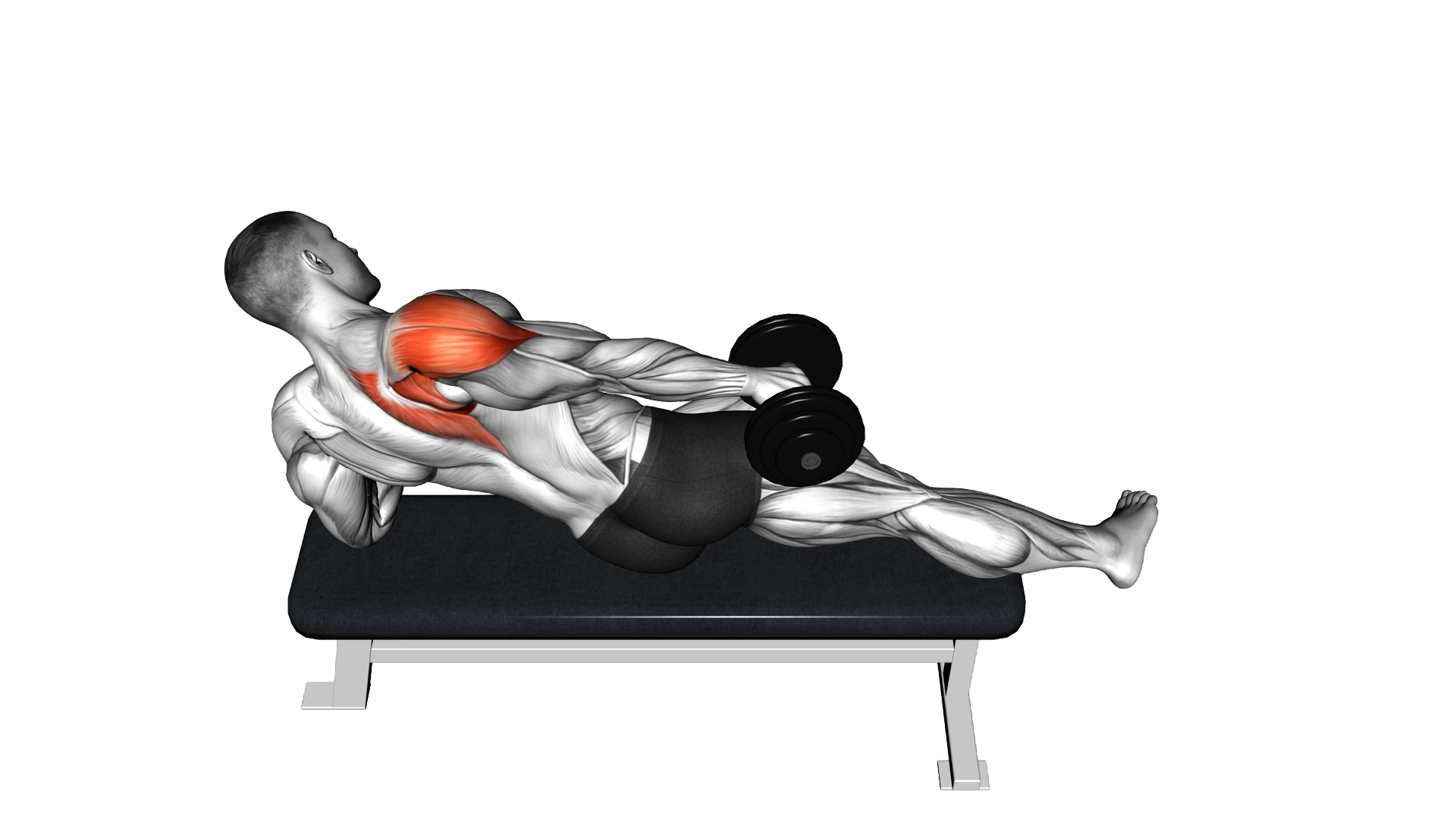 Dumbbell Side Lying One Hand Raise exercise demonstration