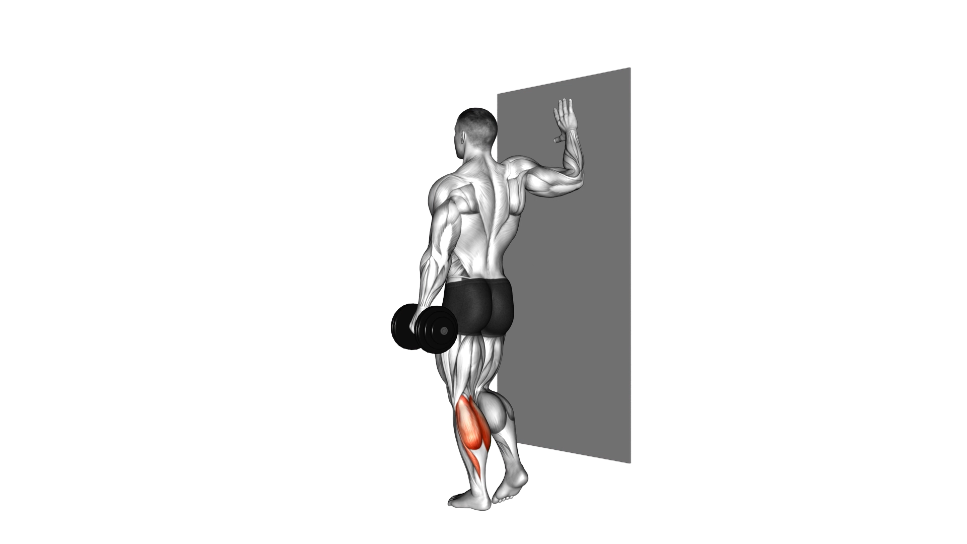 Dumbbell Single Leg Calf Raise exercise thumbnail
