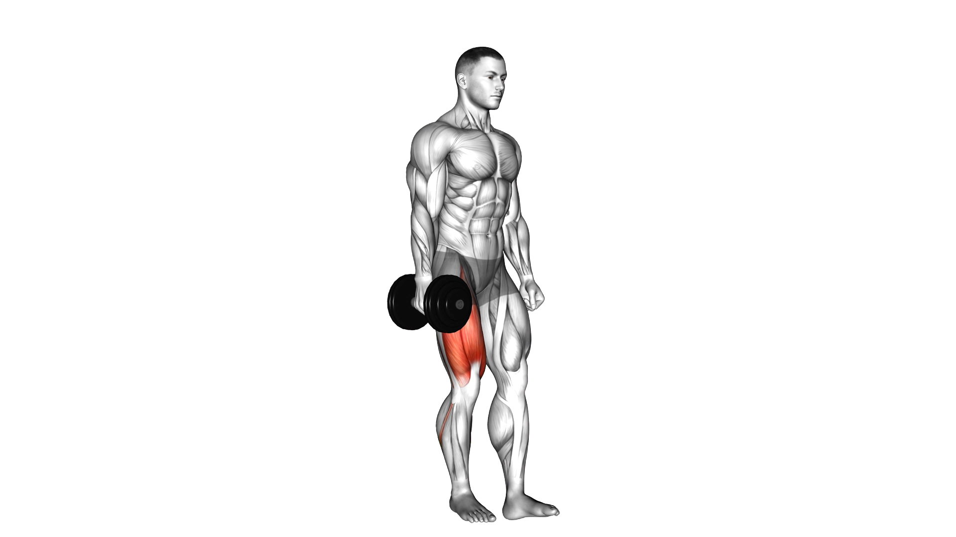 Dumbbell Single Leg Squat exercise thumbnail