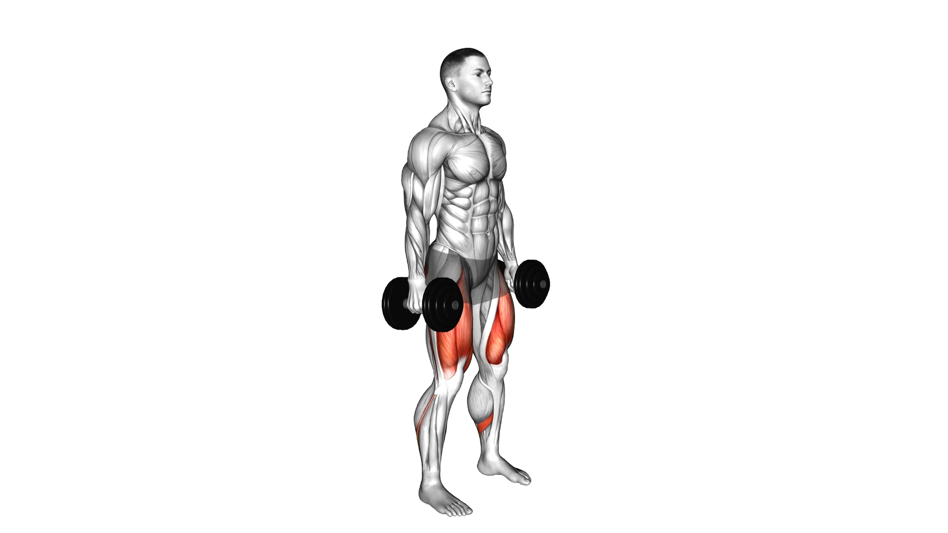 Dumbbell Squat exercise thumbnail