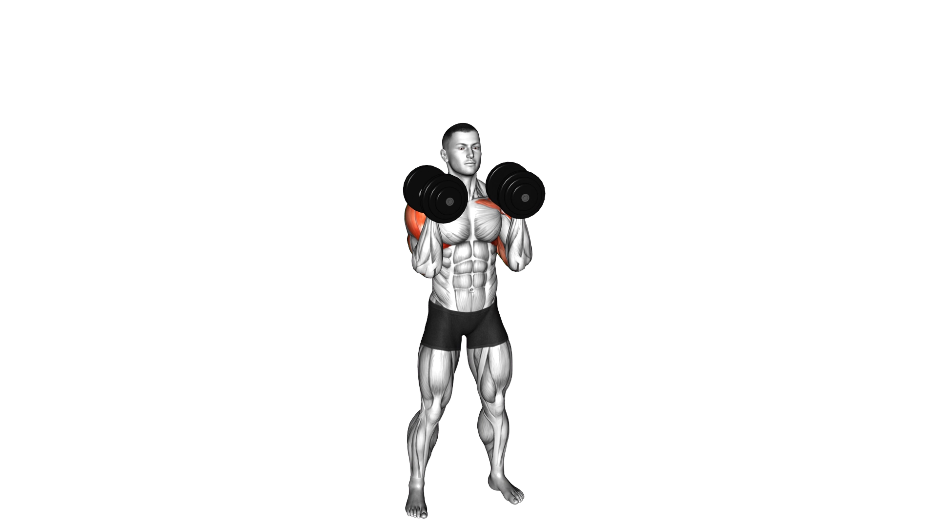 Dumbbell Standing Alternate Overhead Press exercise demonstration