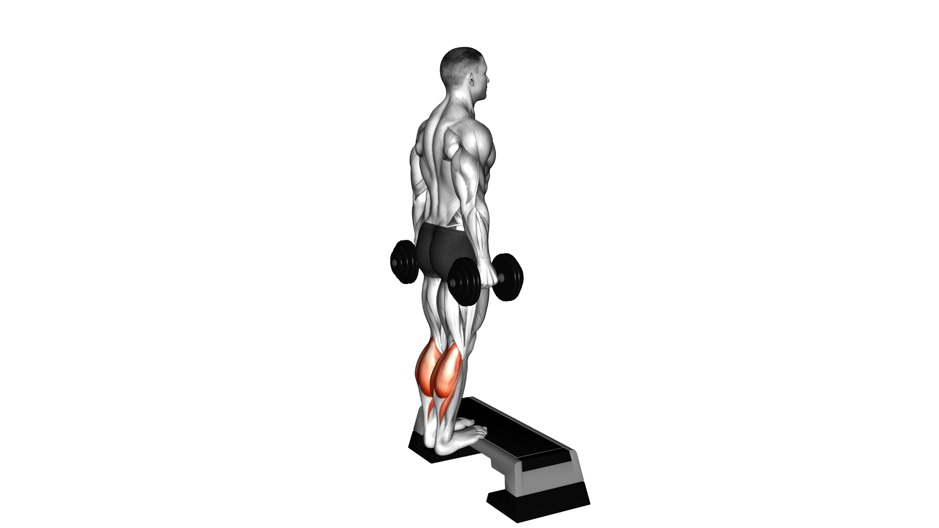 Dumbbell Standing Calf Raise exercise demonstration