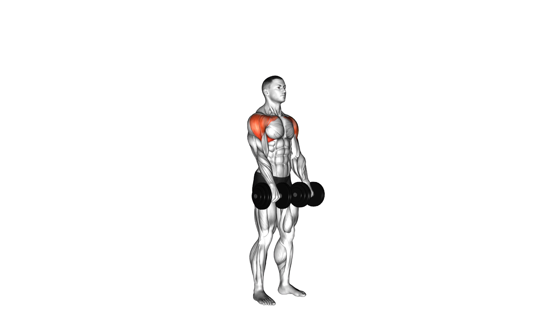Dumbbell Standing Front Raise Above Head exercise demonstration