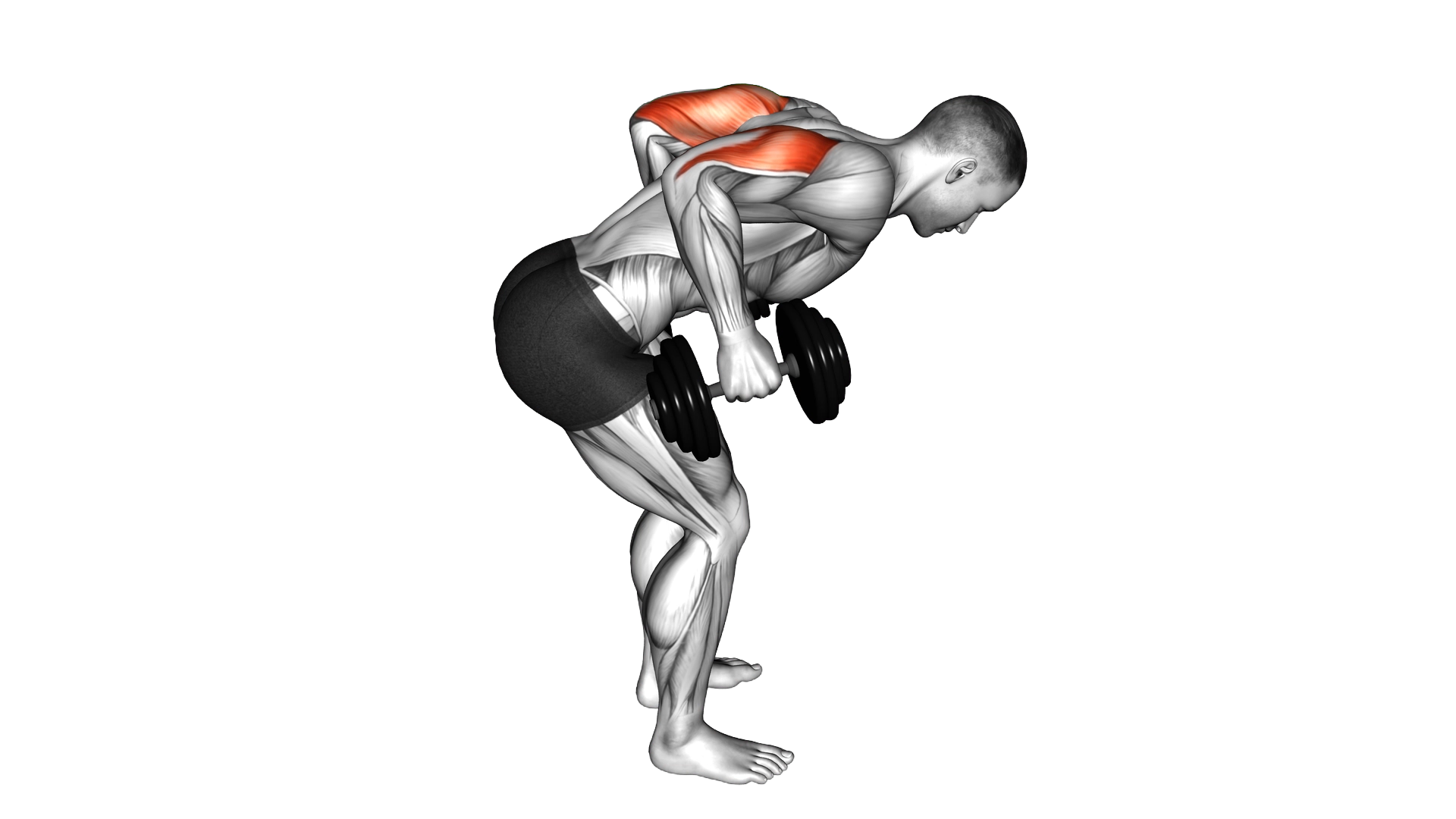 Dumbbell Standing Kickback exercise thumbnail