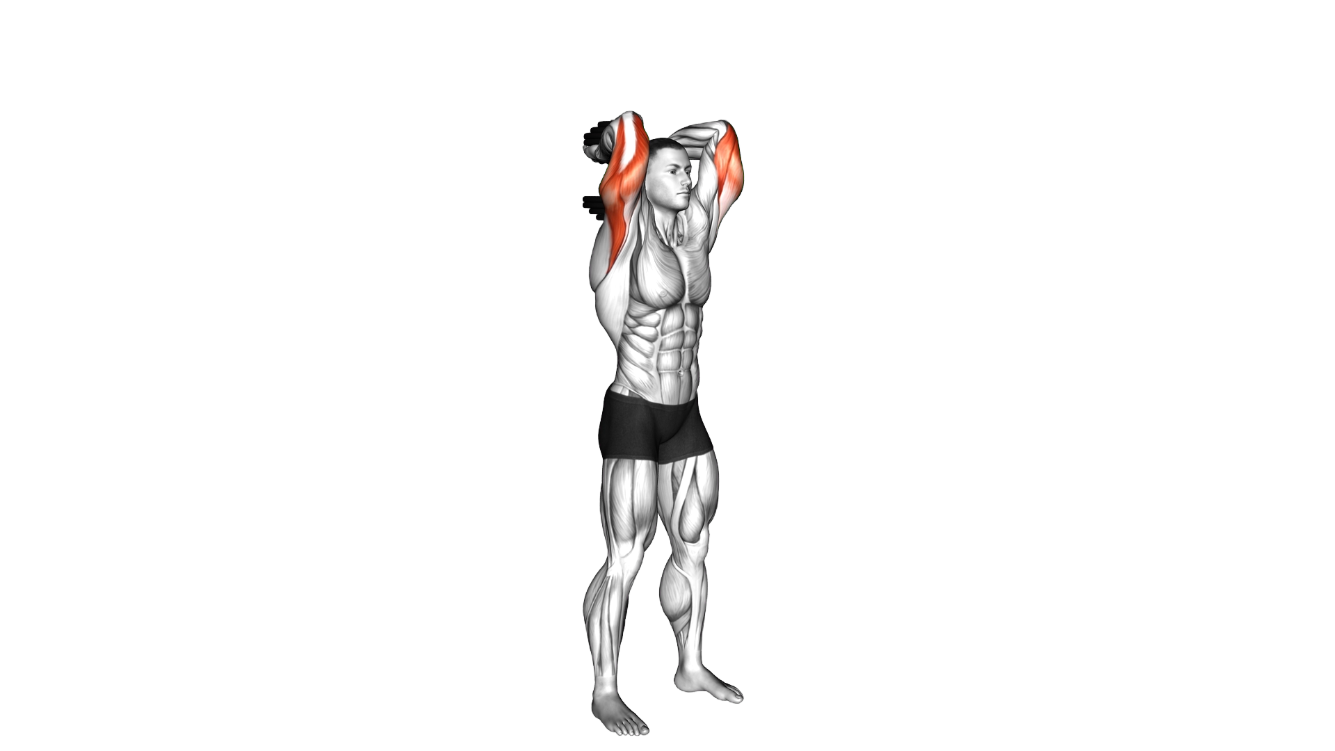 Dumbbell Standing Triceps Extension exercise demonstration
