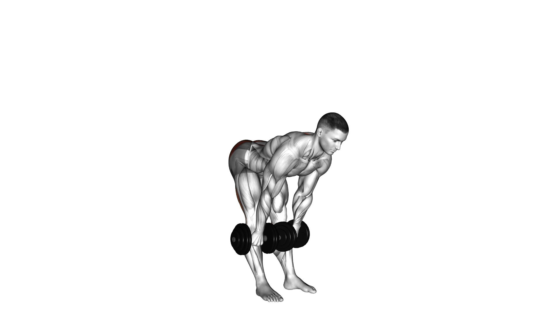 Dumbbell Stiff Leg Deadlift exercise thumbnail