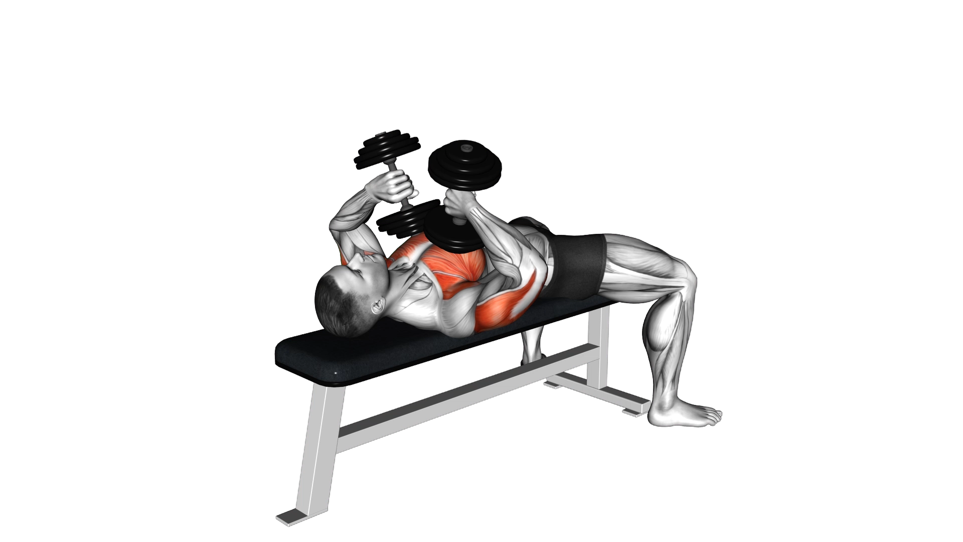 Dumbbell Tate Press exercise demonstration