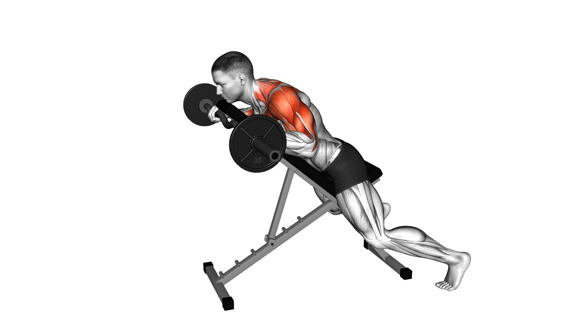 EZ Barbell Anti Gravity Press exercise thumbnail