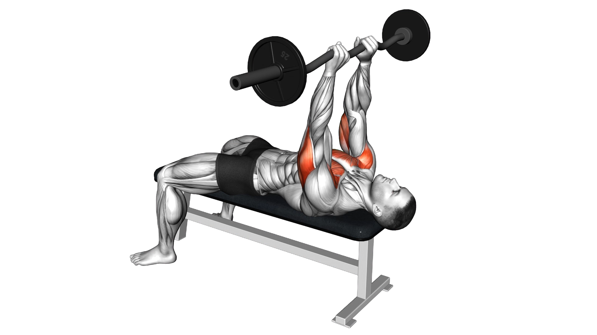 EZ Barbell JM Bench Press exercise thumbnail