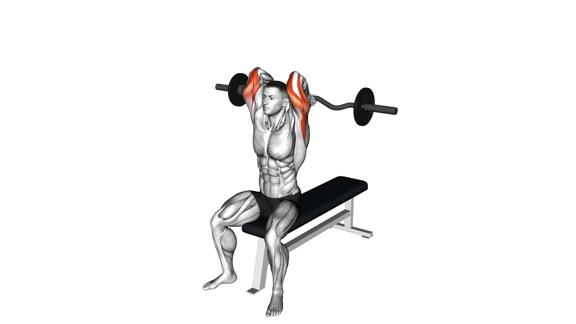 EZ Barbell Seated Triceps Extension exercise thumbnail