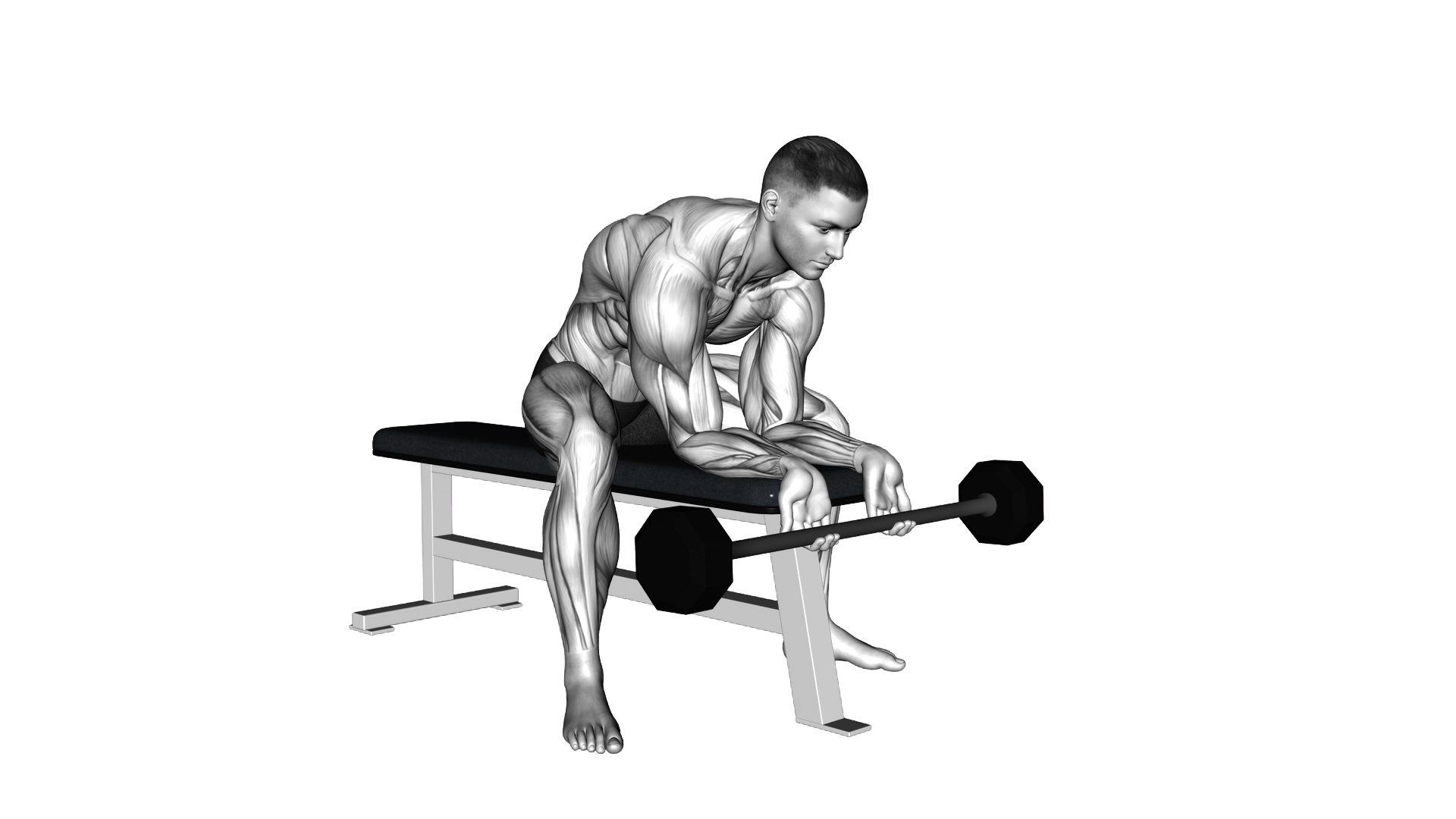 Barbell Finger Curls exercise thumbnail