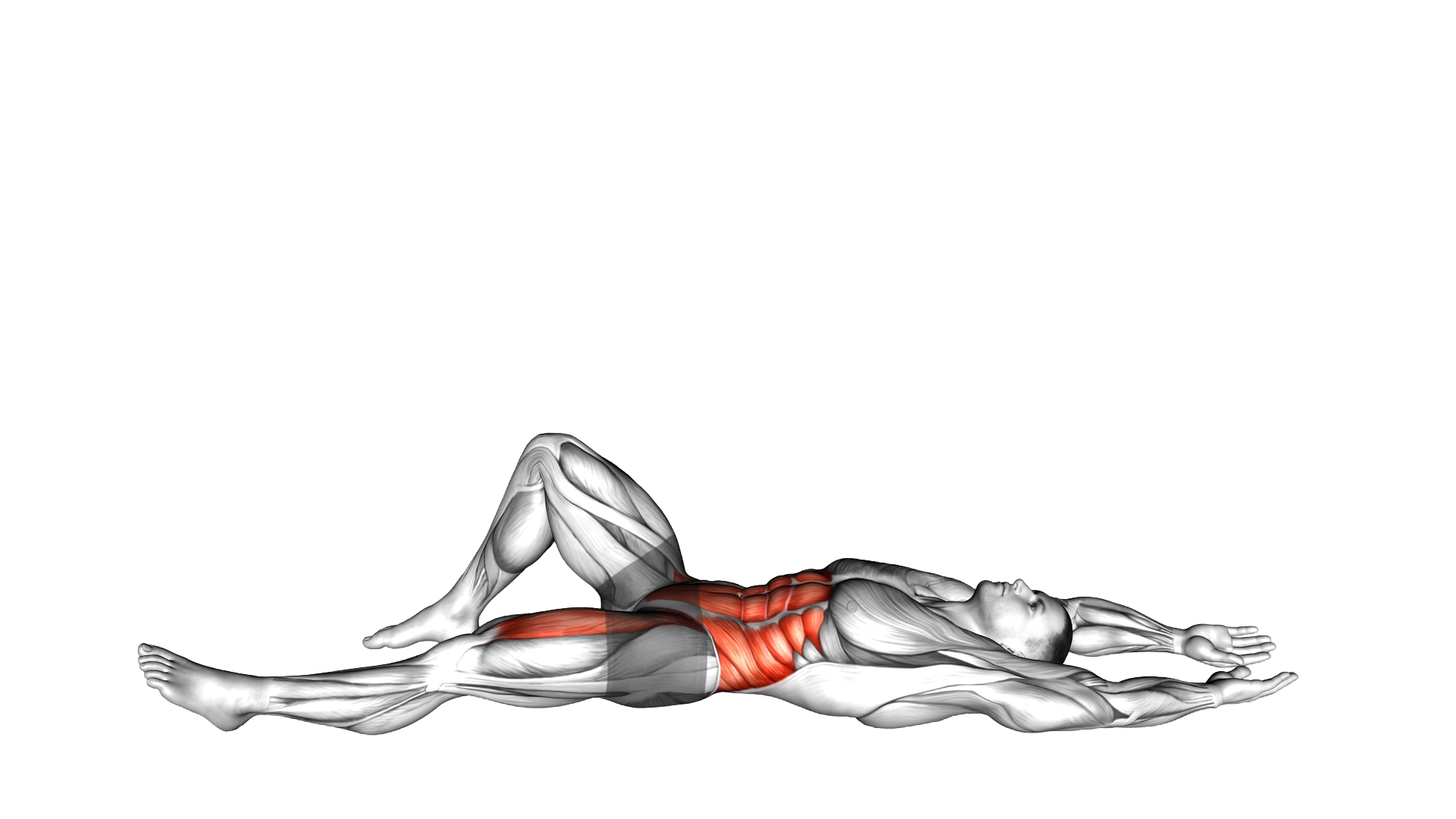 Flexion Leg Sit up (straight arm) exercise thumbnail