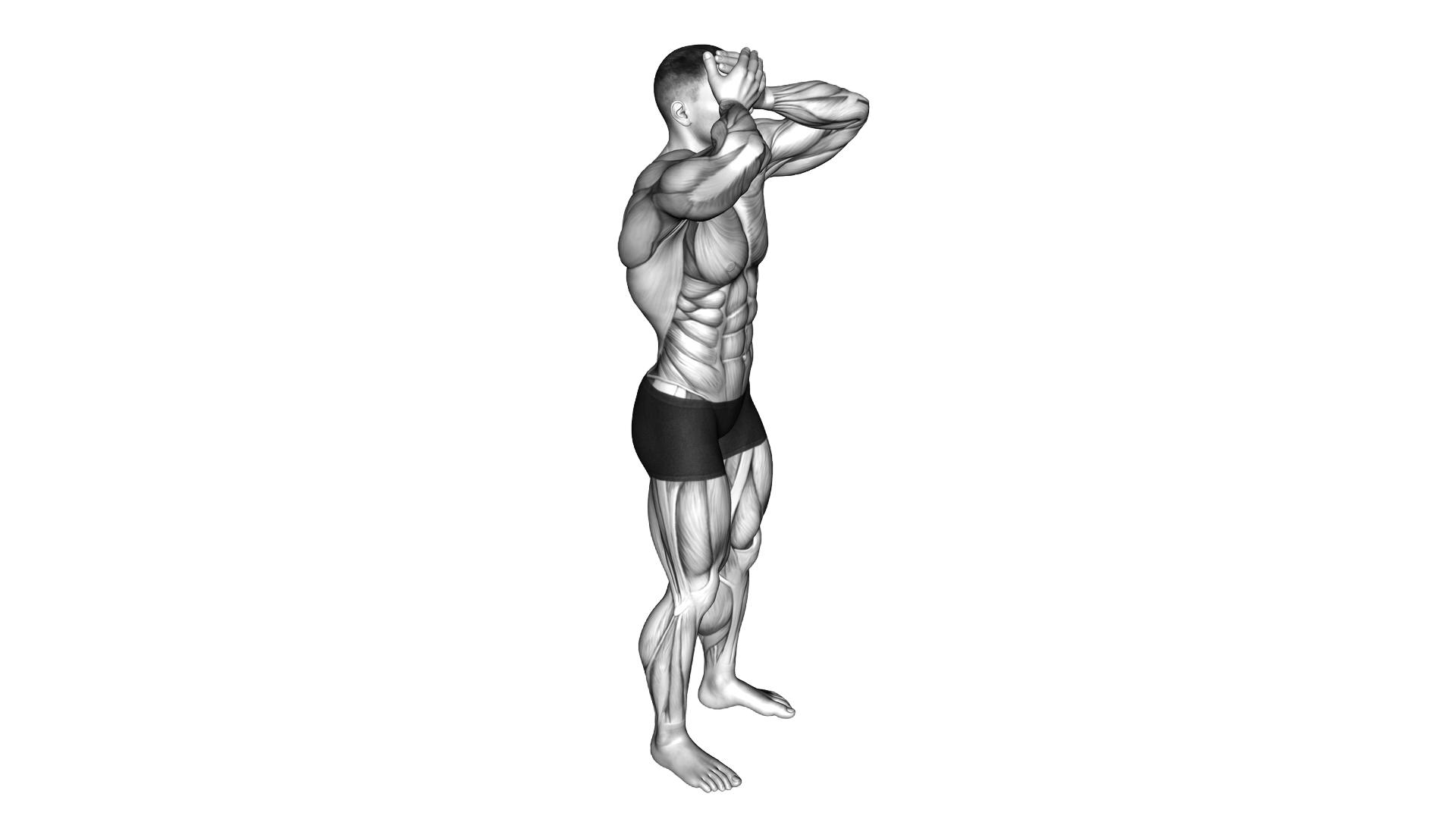 Front and Back Neck Stretch exercise demonstration