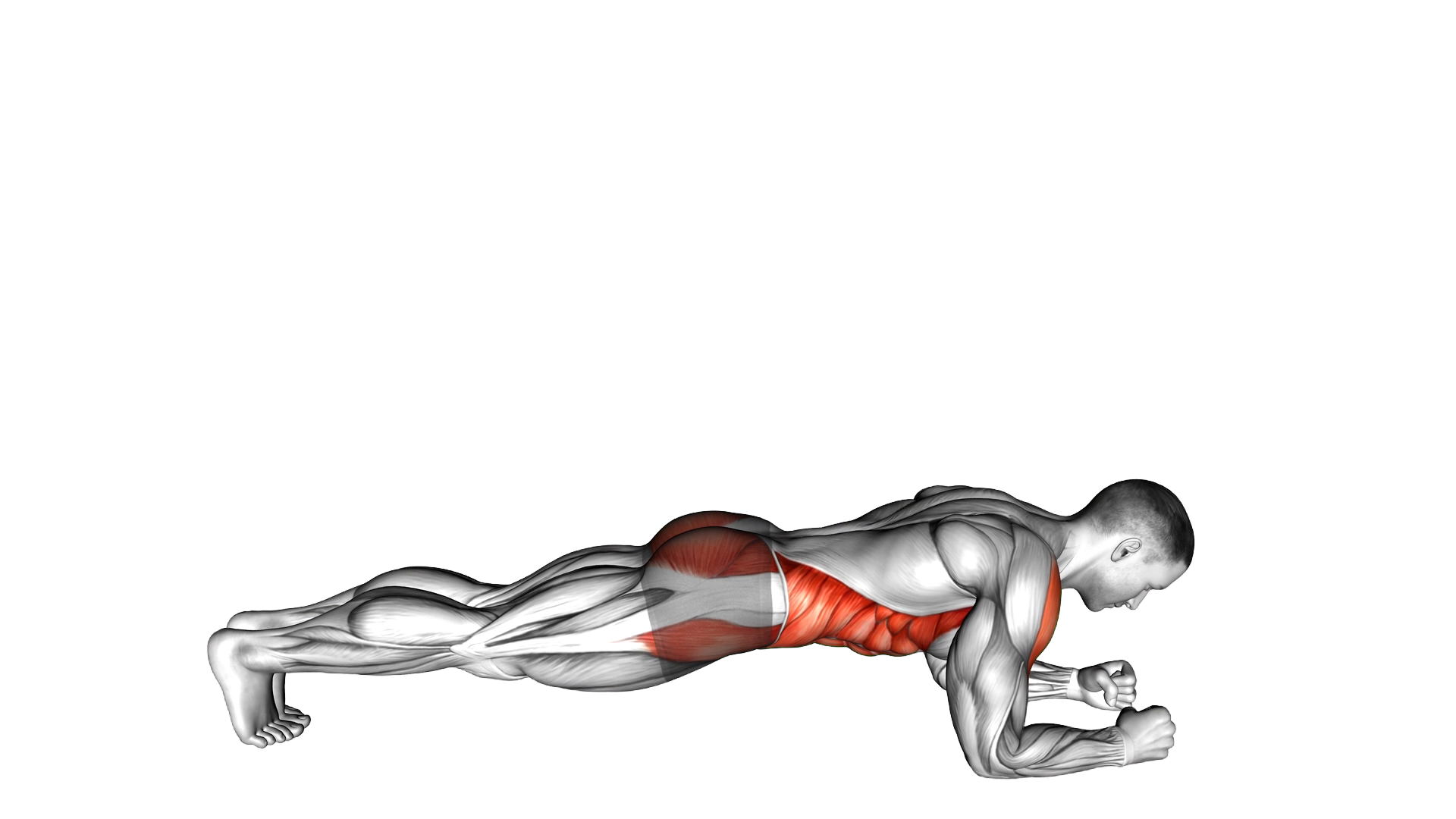 Front Plank with Twist exercise thumbnail