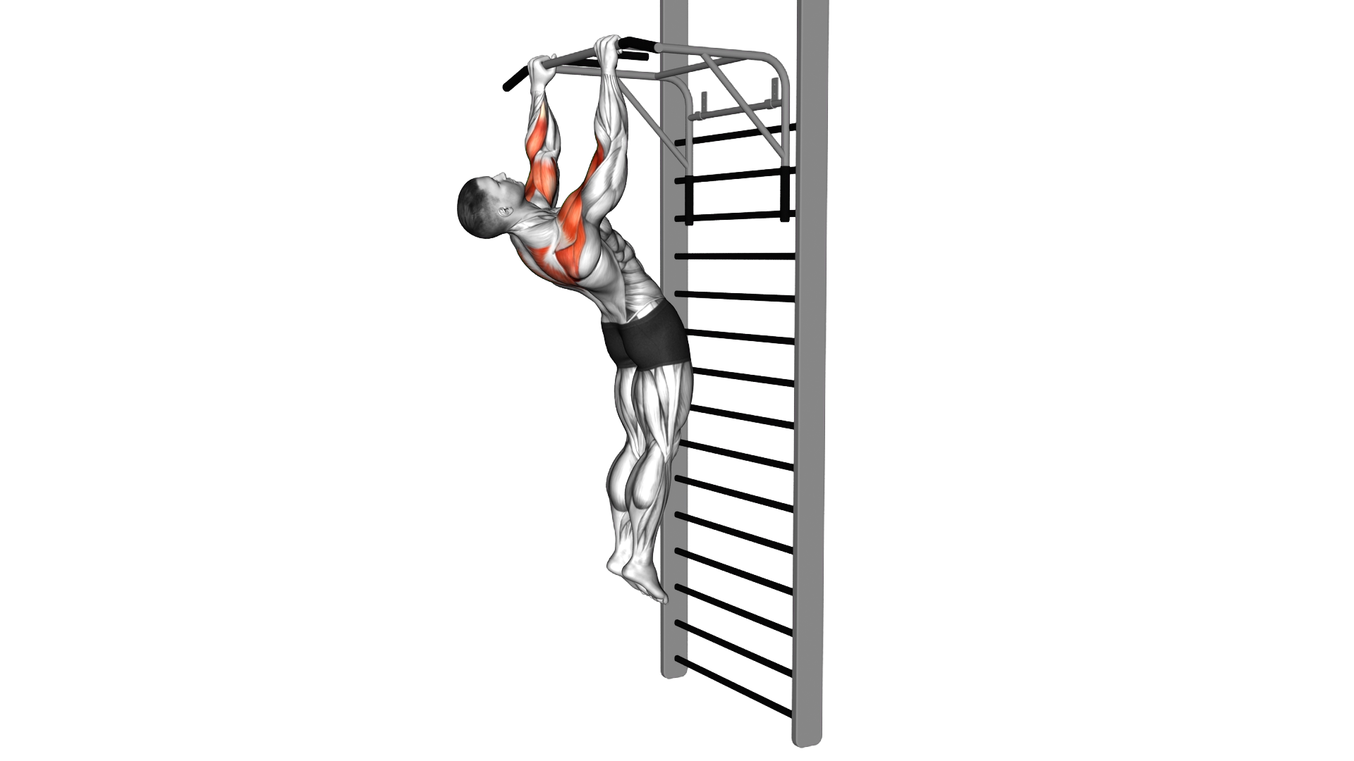 Sternum Pull up (Gironda) exercise demonstration