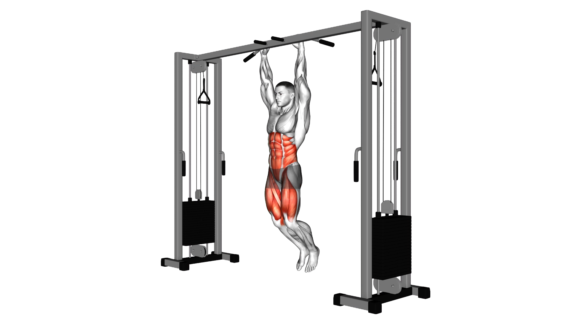 Hanging Straight Leg Hip Raise exercise thumbnail