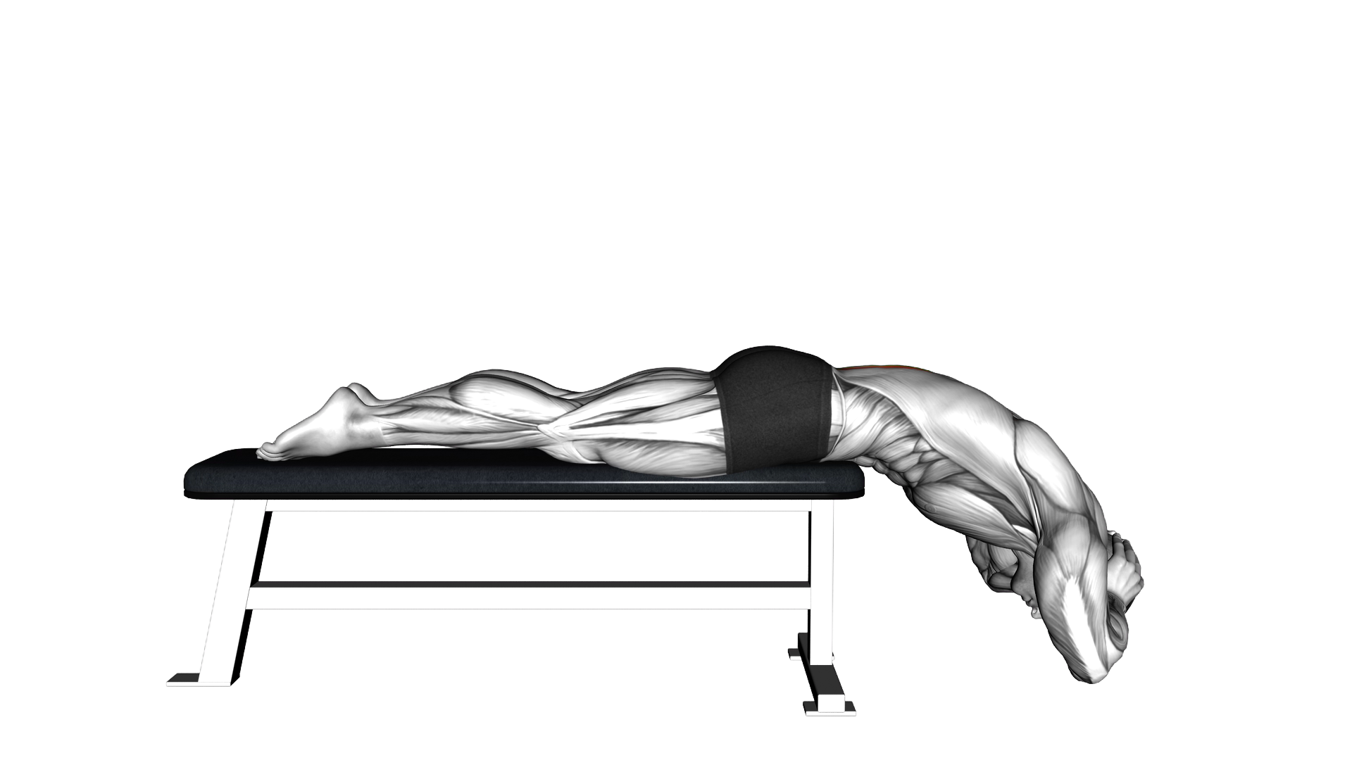 Hyperextension (on bench) exercise thumbnail