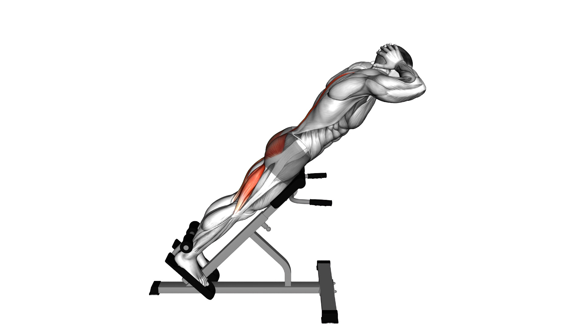 Hyperextension exercise thumbnail