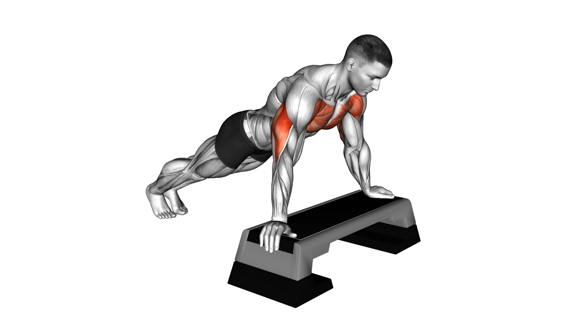Incline Push up exercise thumbnail