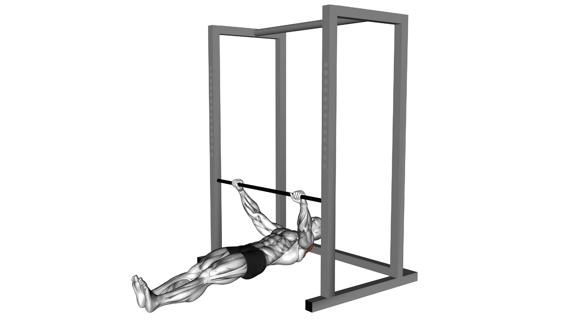 Inverted Row exercise demonstration