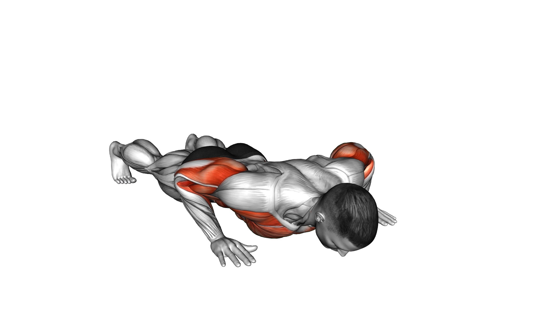 Isometric Wipers exercise demonstration
