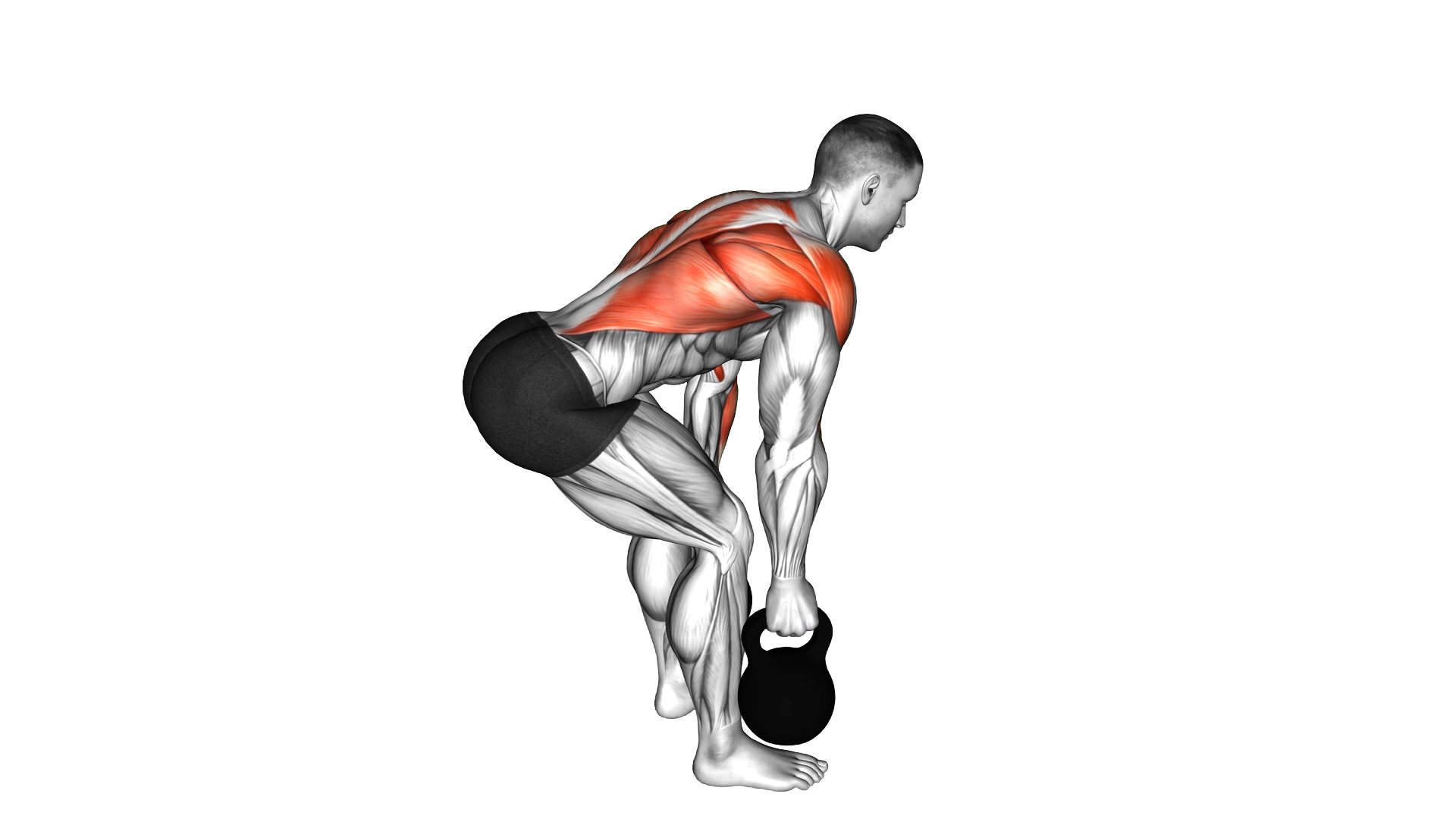 Kettlebell Alternating Row exercise demonstration