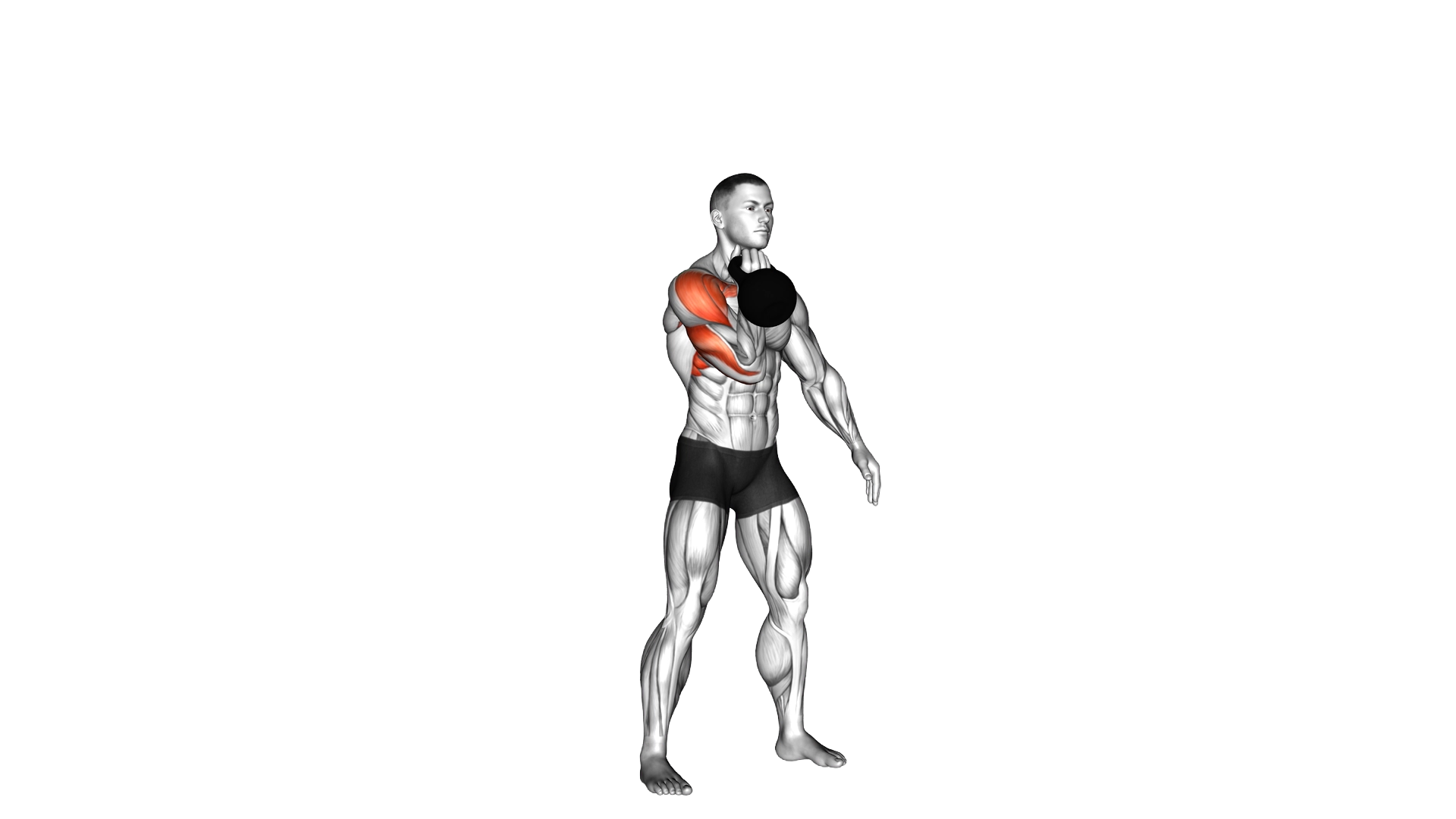 Kettlebell Arnold Press exercise demonstration