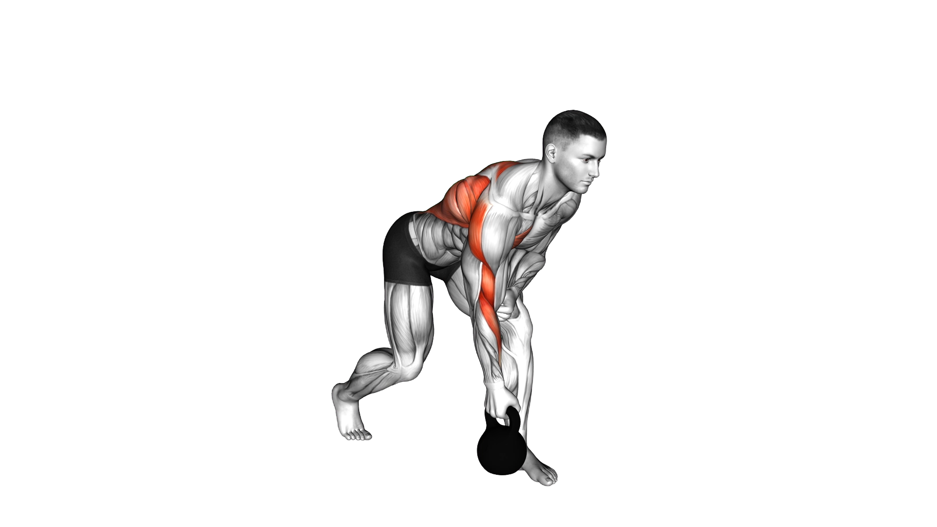 Kettlebell One Arm Row exercise demonstration