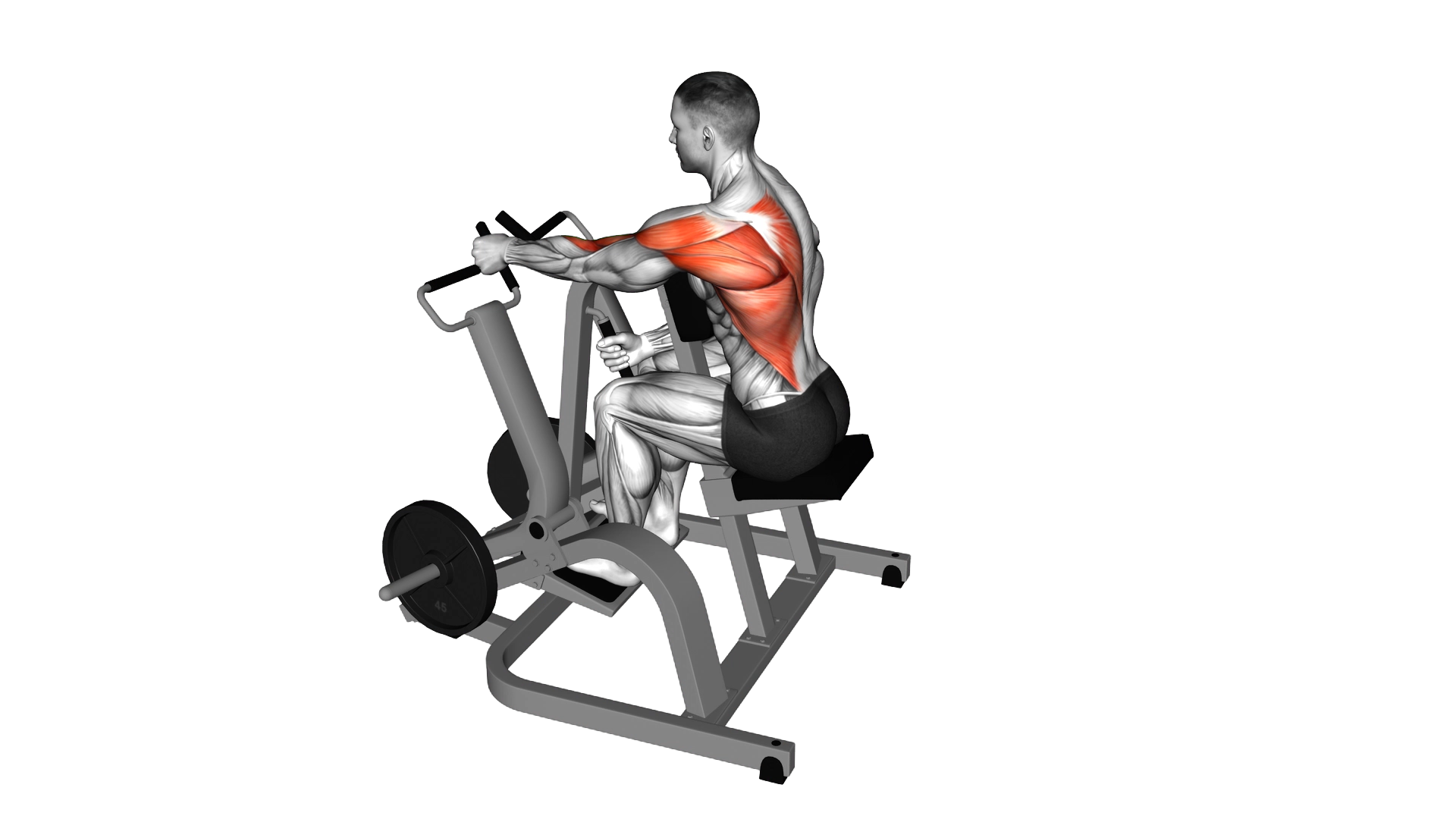 Lever Single Arm Neutral Grip Seated Row (plate lo exercise thumbnail