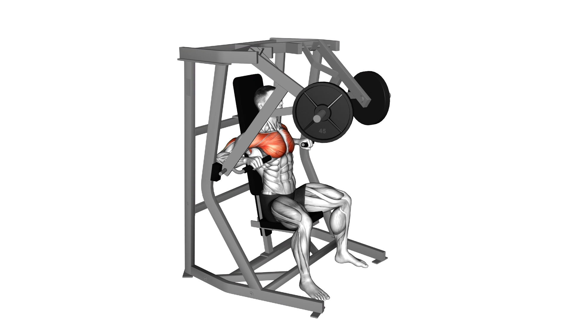 Lever Chest Press (plate loaded) exercise thumbnail
