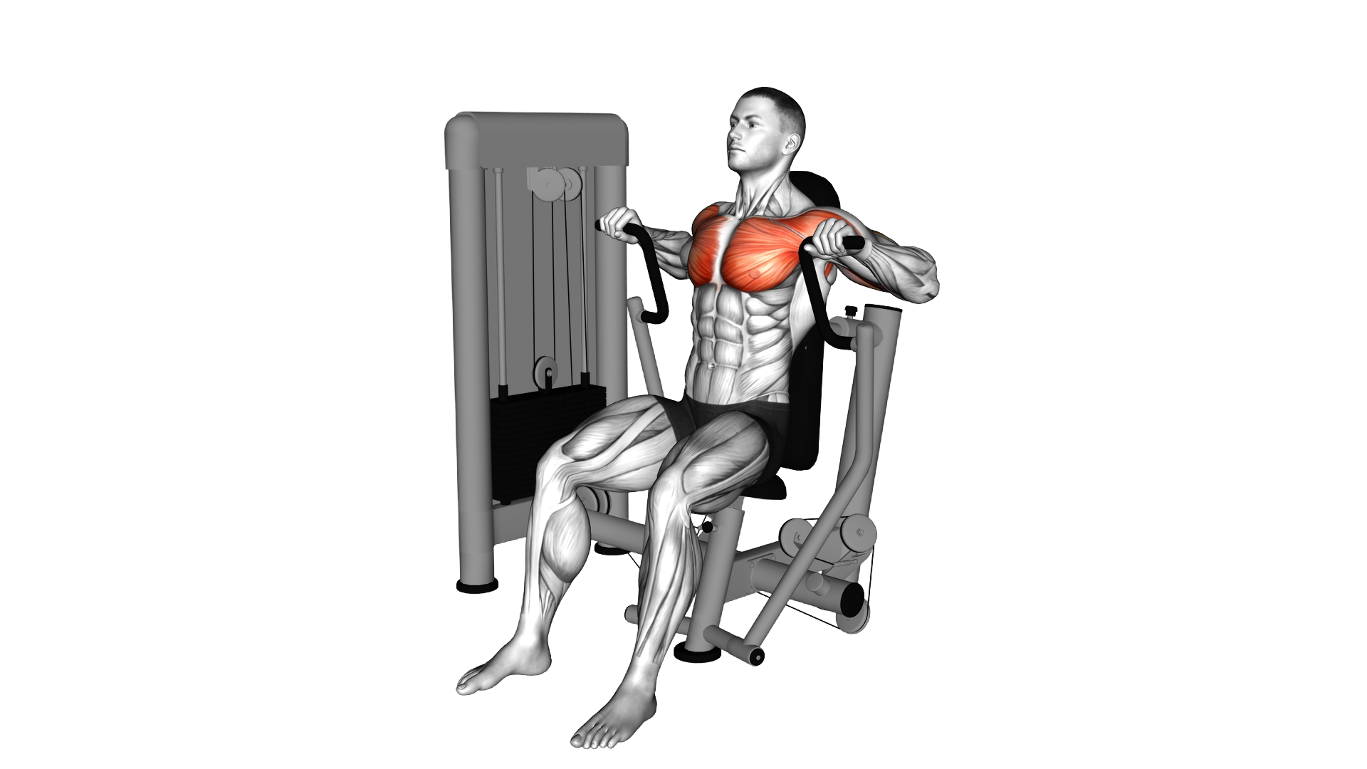 Lever Chest Press exercise thumbnail