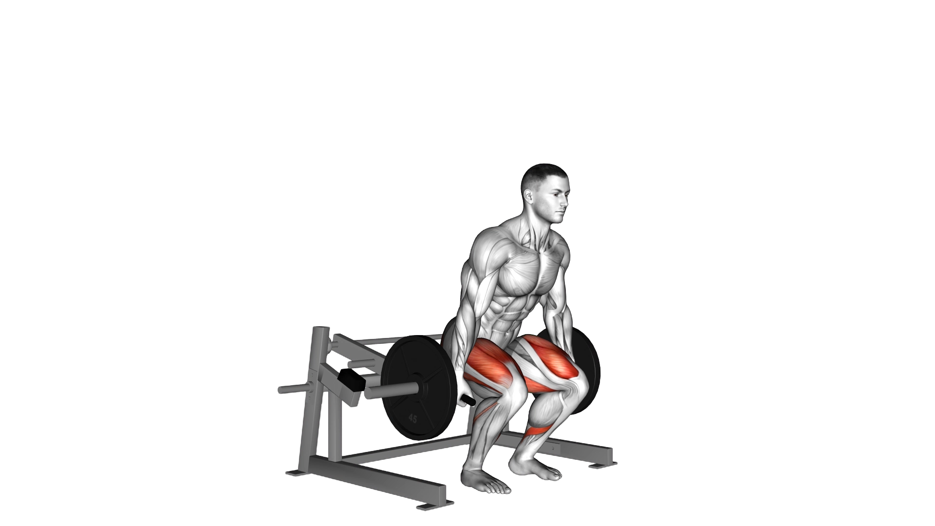 Lever Deadlift (plate loaded) exercise thumbnail