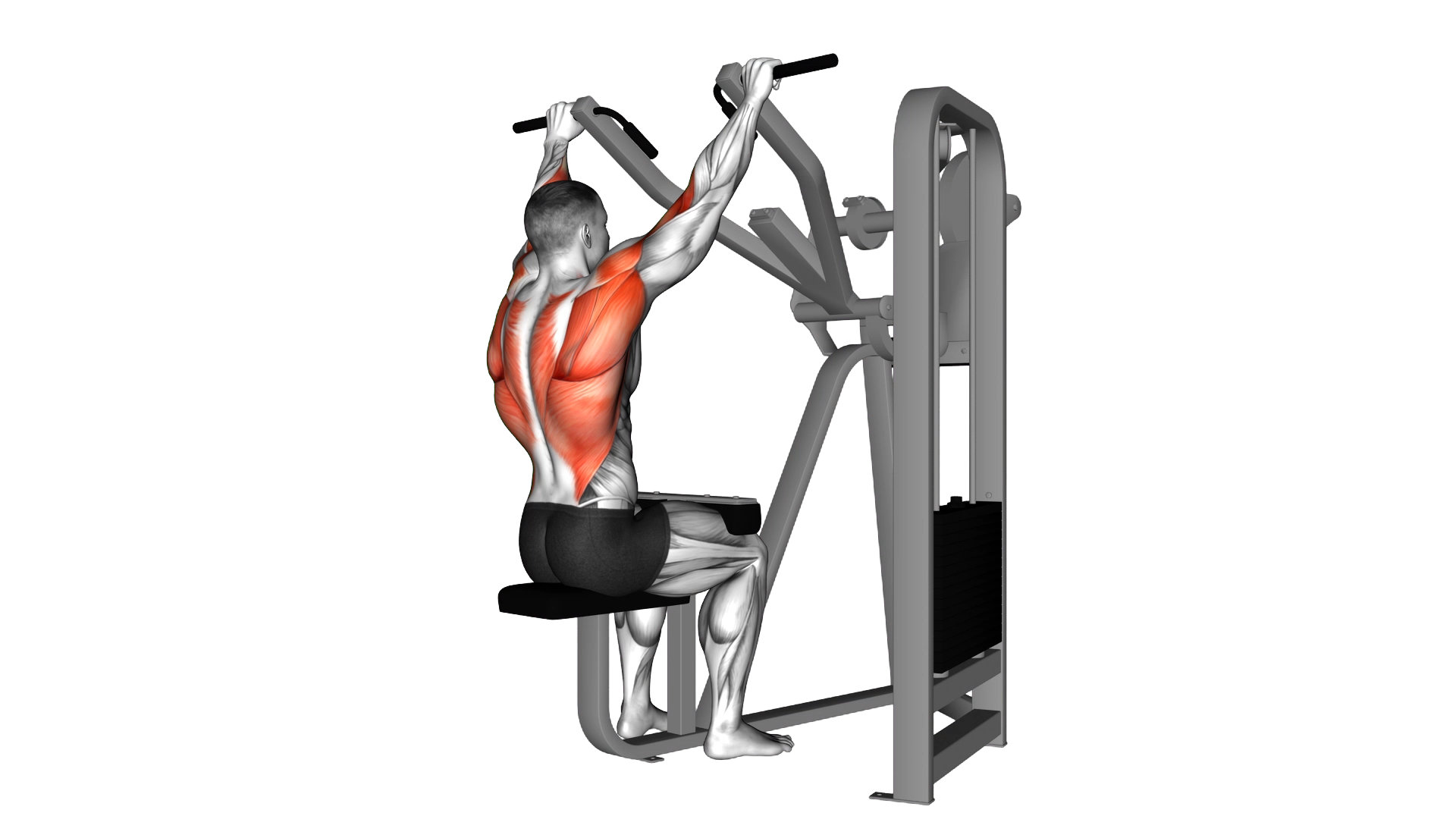 Lever Front Pulldown exercise thumbnail