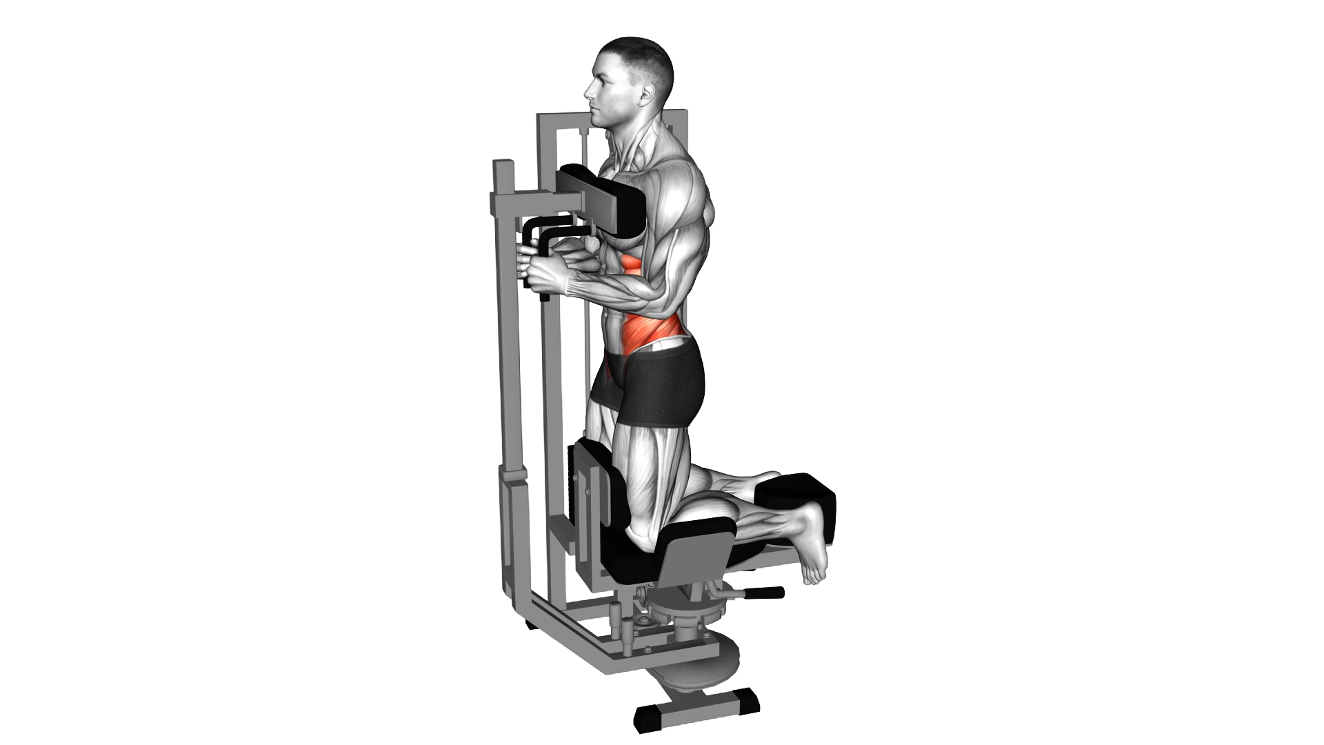 Lever Kneeling Twist exercise thumbnail