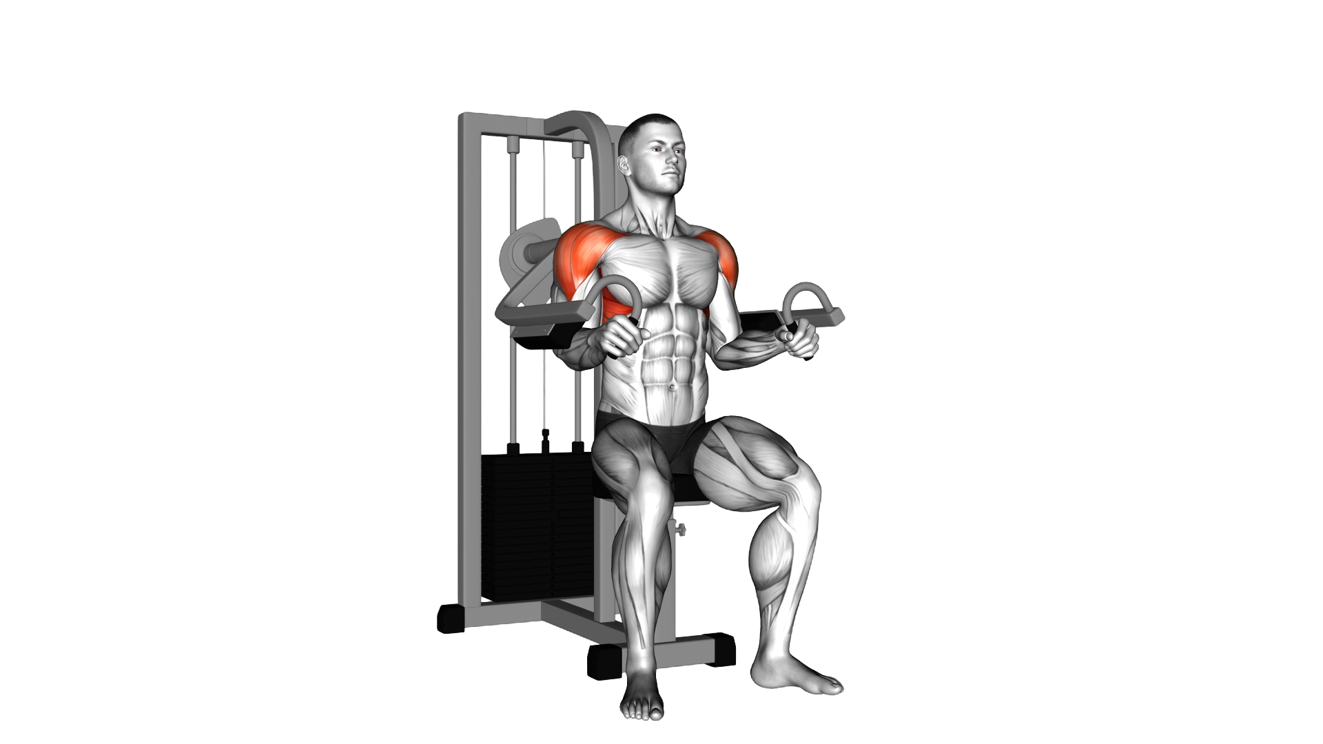 Lever Lateral Raise exercise thumbnail